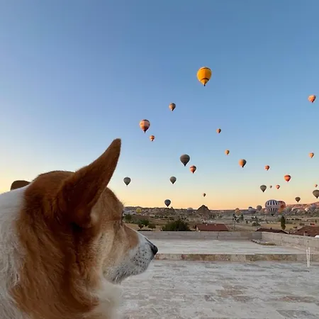 Sara Cave Cappadocia *