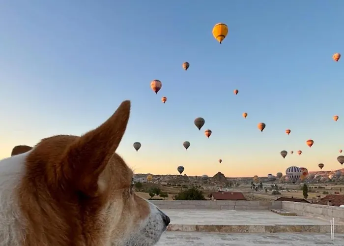 Sara Cave Cappadocia *